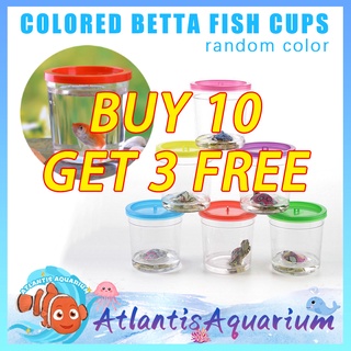 【Buy 10 Free 3】Betta Fish Cup Jellyfish Betta Fish Tank Box Mini Small Transparent Plastic With Lid