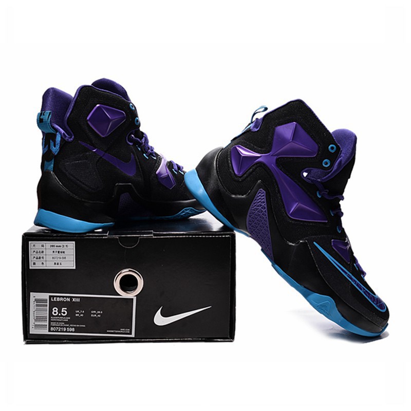 lebron james 13 shoes price