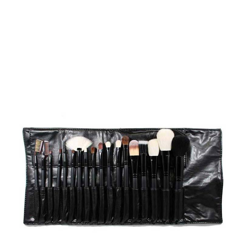 professional brush set