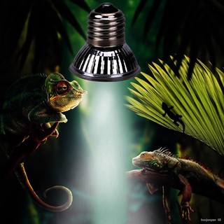 Reptile Light Bulb UV Heat Lamp Tortoise Turtle Calcium Supplement E27 UVB UVA