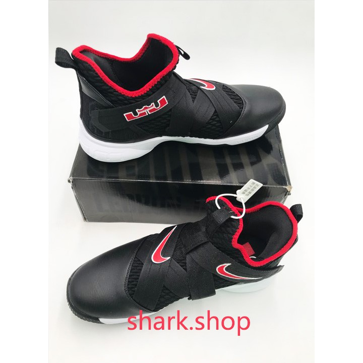 lebron soldier x11 sfg