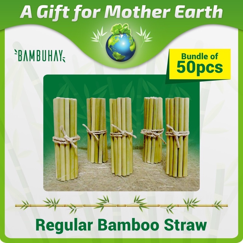 Bamboo Drinking Straw Regular Bamboo Straw (50pcs/pack) *B10 Shopee