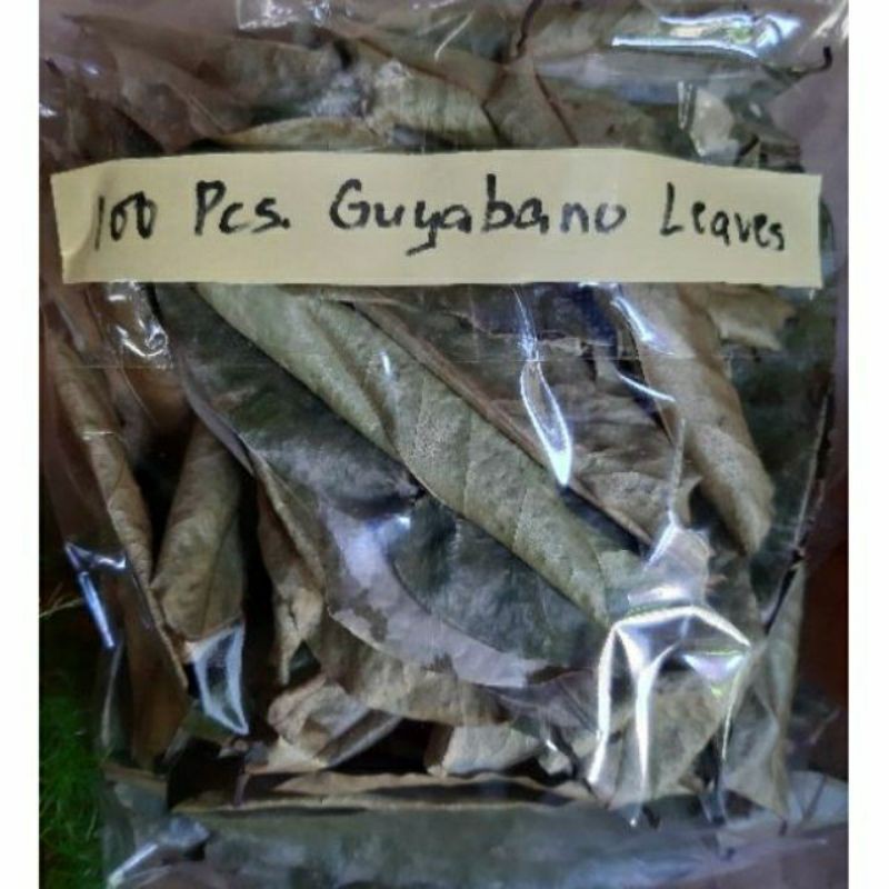 100 Pcs Dried Guyabano Leaves Shopee Philippines