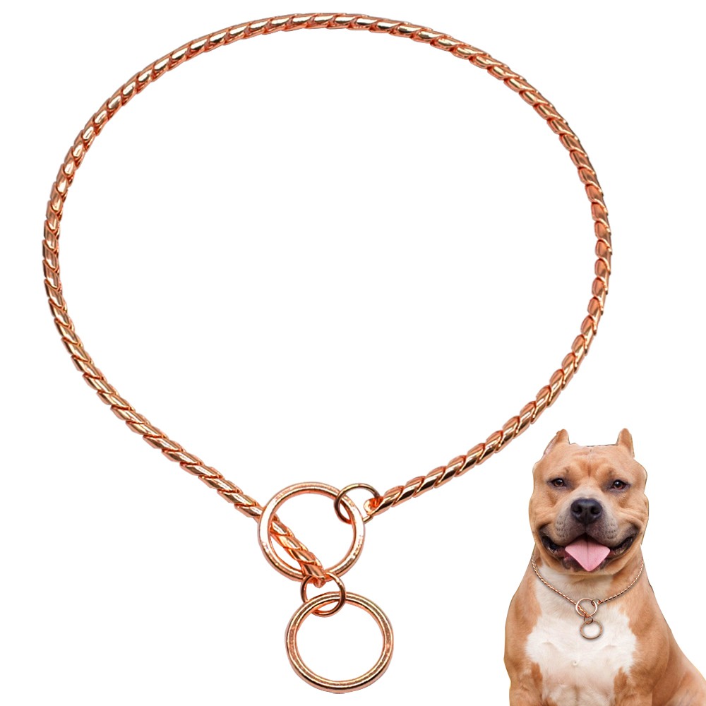 Rose Gold Dog Collar P Choke/Check Chain Collars Pet Show Collar Training Slip #1