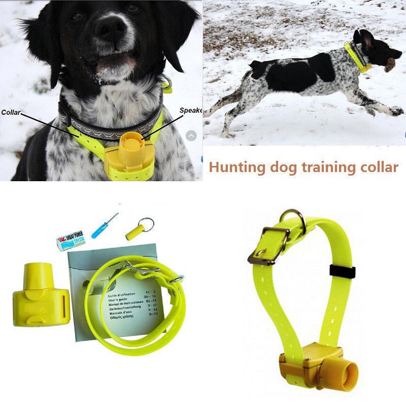 Waterproof Hunting Dog Beeper Training 