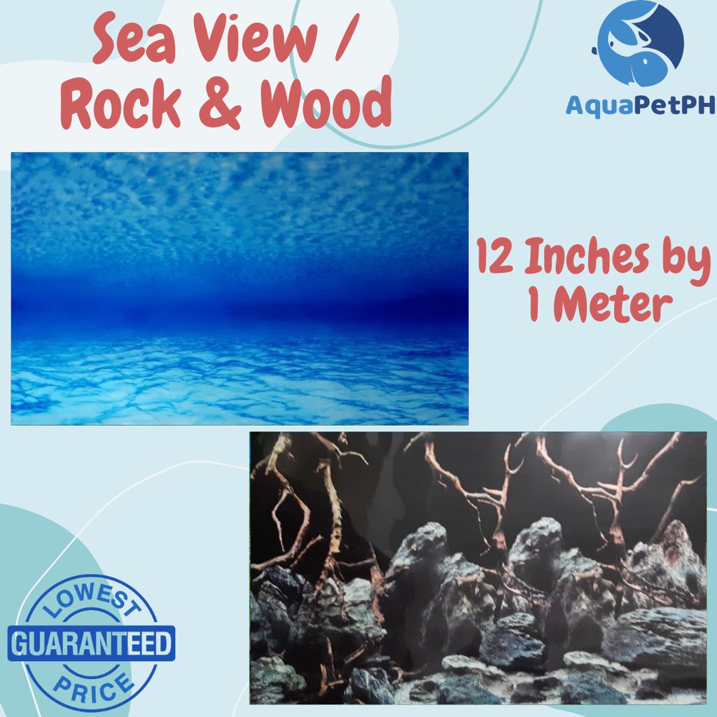 ▲#2 Colorful Aquarium Background Wallpaper 12 / 18 Inches With Back To Back Design - AquaPetPh
