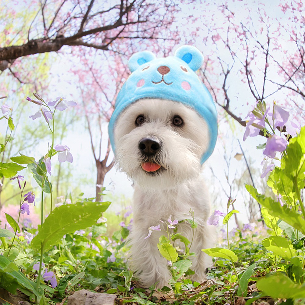 New Funny Pet Dog Cat Cap Costume Warm Rabbit Hat New Year Party Christmas Pets Bibs Holiday Caps for Dogs and Cats Party Decoration #9