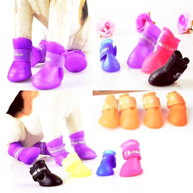dog shoes shopee