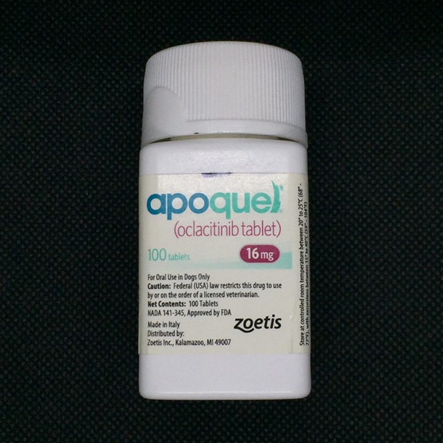 best price for apoquel 16 mg