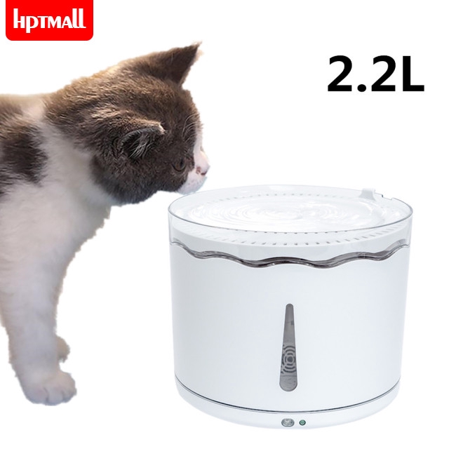 puppy water fountain