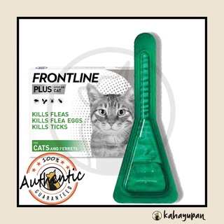 Frontline Plus Single Pipette Anti Tick and Flea Spot Treatment for Cats 8 months and older