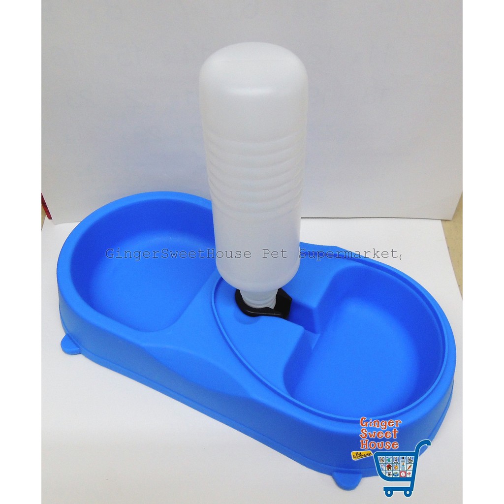 pet supermarket cats