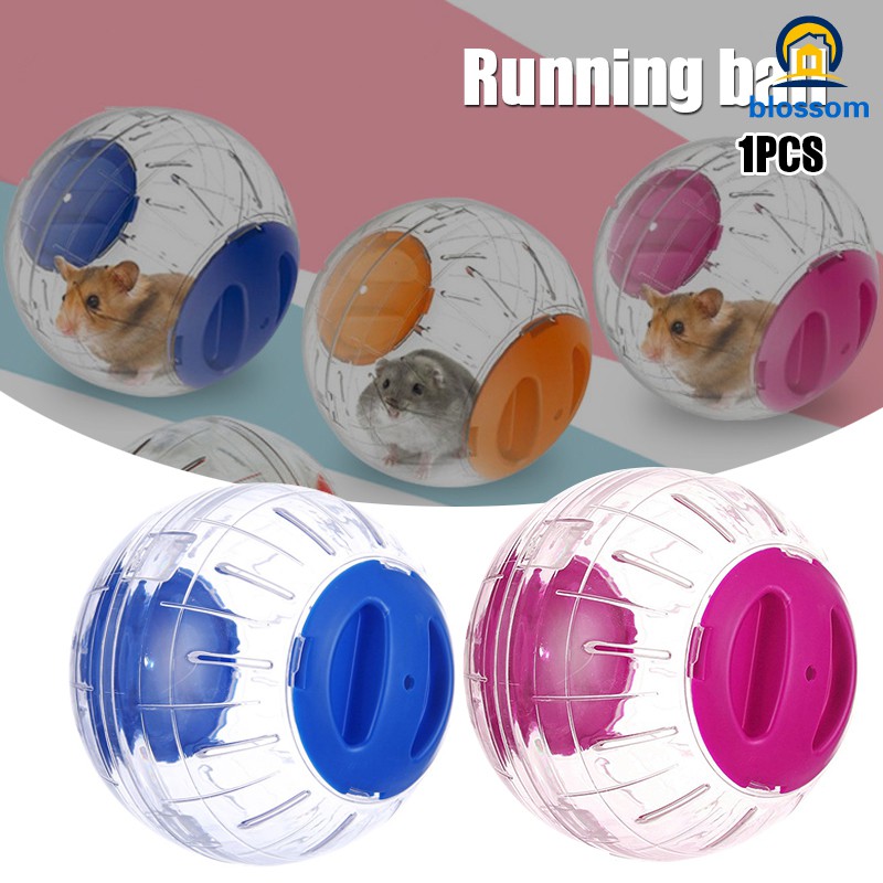 mini hamster ball