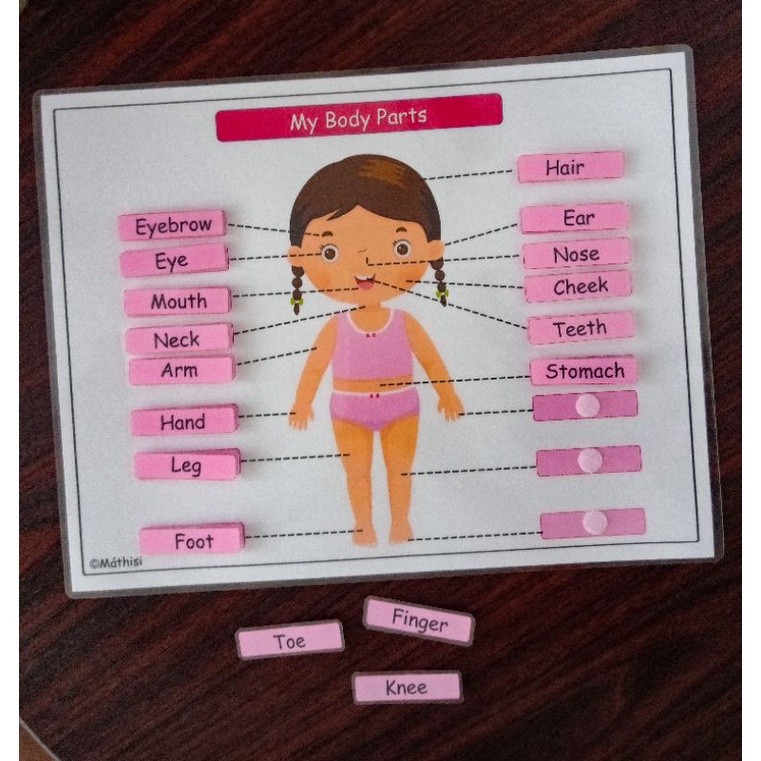 BODY PARTS WORKSHEET (ENGLISH & TAGALOG) | LEARNING MATERIAL| TEACHING