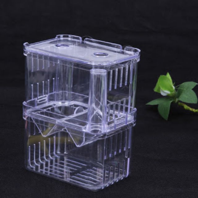 Suspen Multi-functional Isolation Box For Aquariums (Medium) | Shopee ...