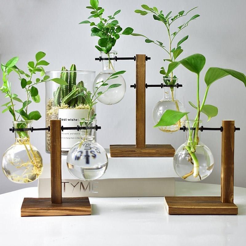 Table Desk Bulb Glass Hydroponic Vase Flower Plant Pot