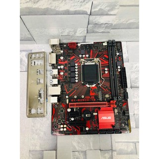 Совместимость процессоров asus ex b250m v5