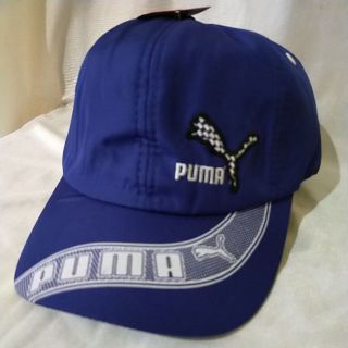 puma dri fit caps