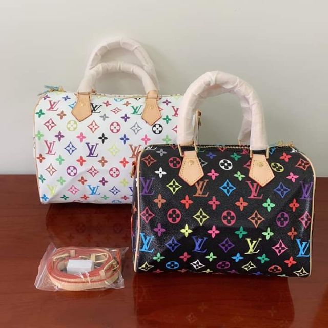 louis vuitton multicolor