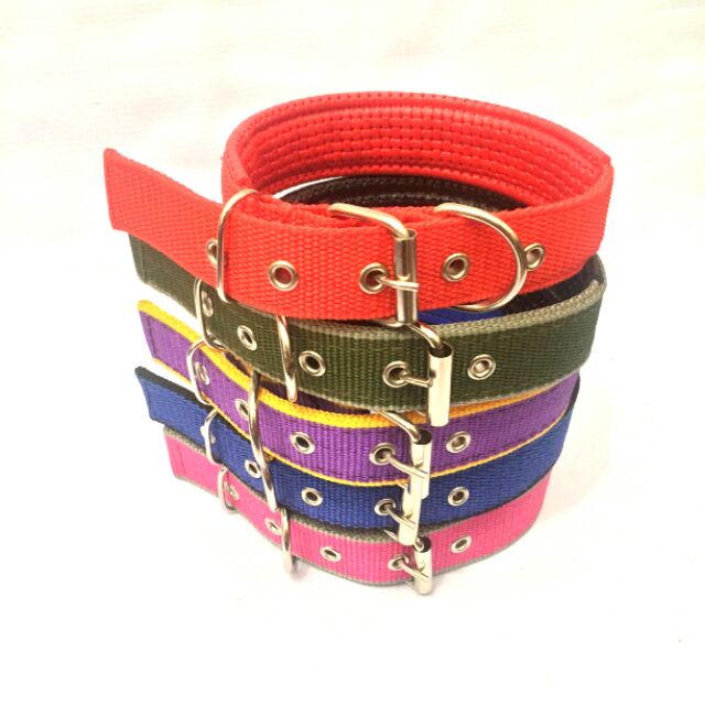 dog collar belt