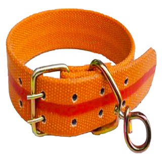 COD DVX Adjustable Heavy Duty Safety Pet Dog Collar Dog Belt