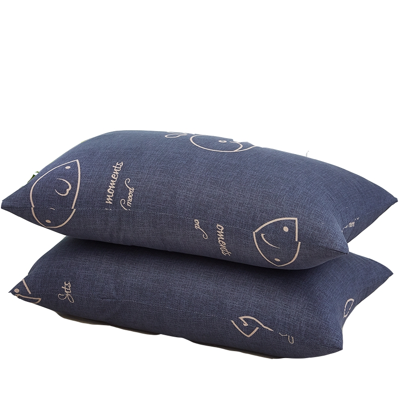 A Pair Of Pillow Core Single Double Home To Protect The Ce