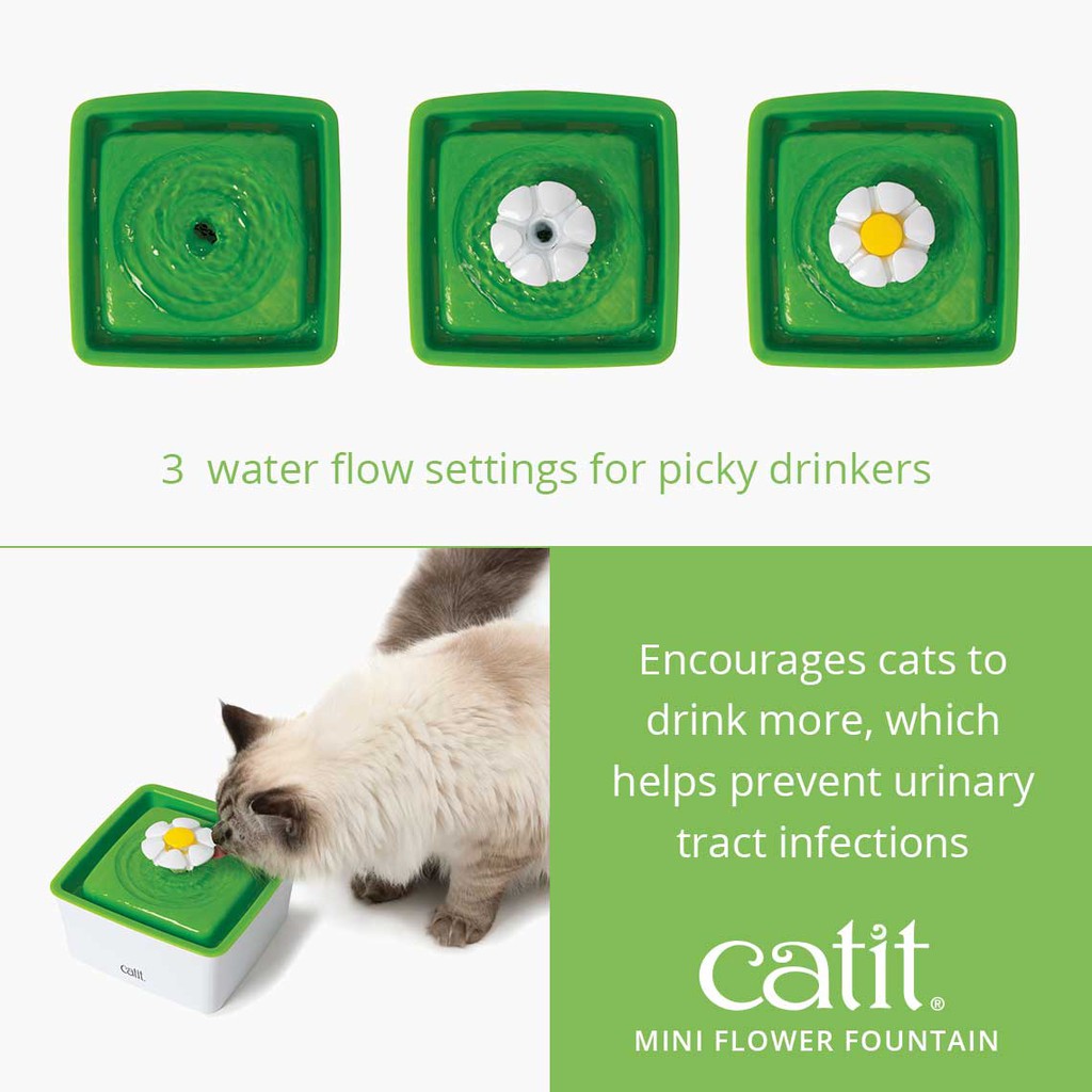 flower cat water drinking fountain
