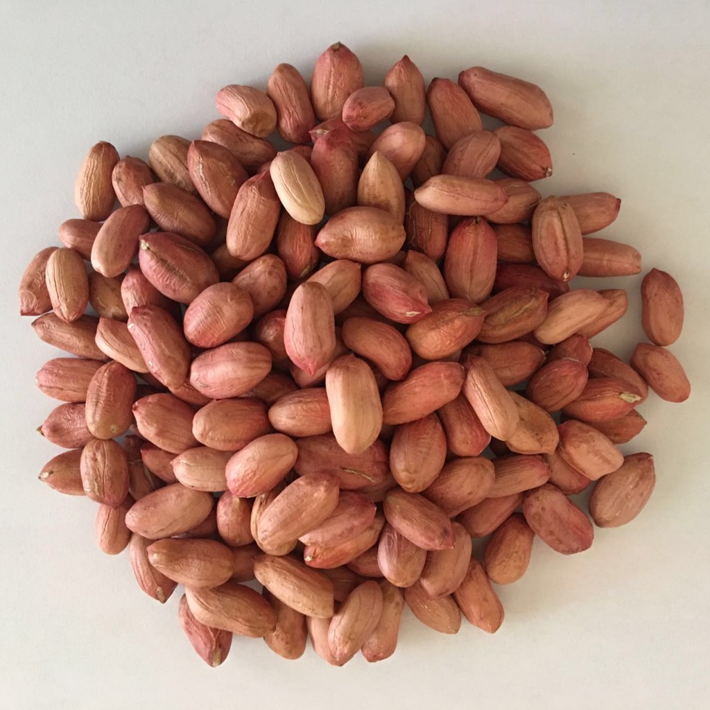 Raw Peanuts (Skinned or Skinless) WHOLESALE Shopee Philippines