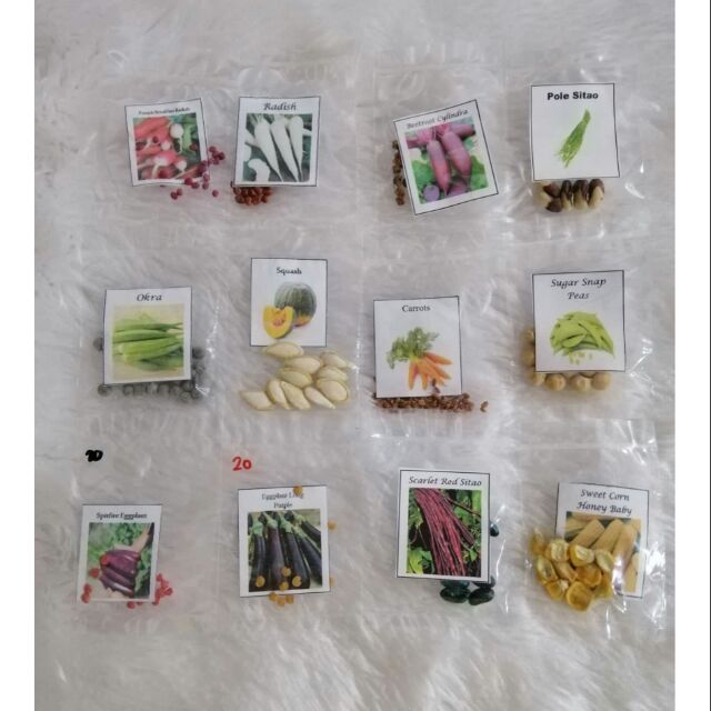 vegetable-seeds-different-types-seeds-shopee-philippines