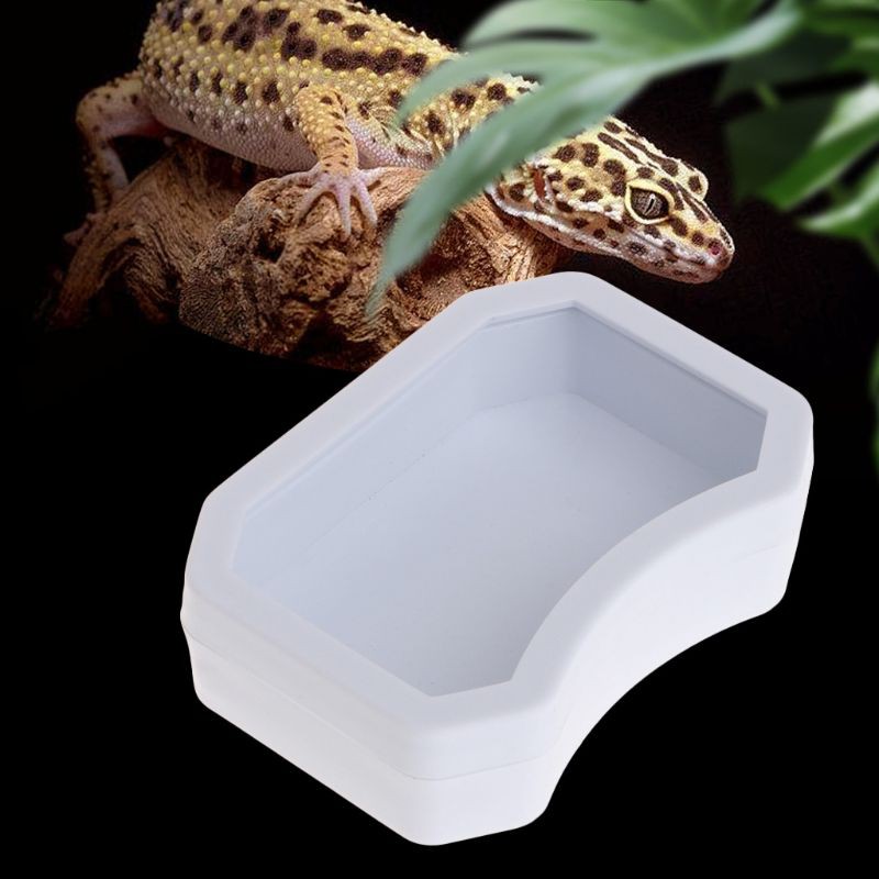 Reptile Feeder Water Food Feeding Plastic Bowl 3 Size Turtle Lizard Snake Basin