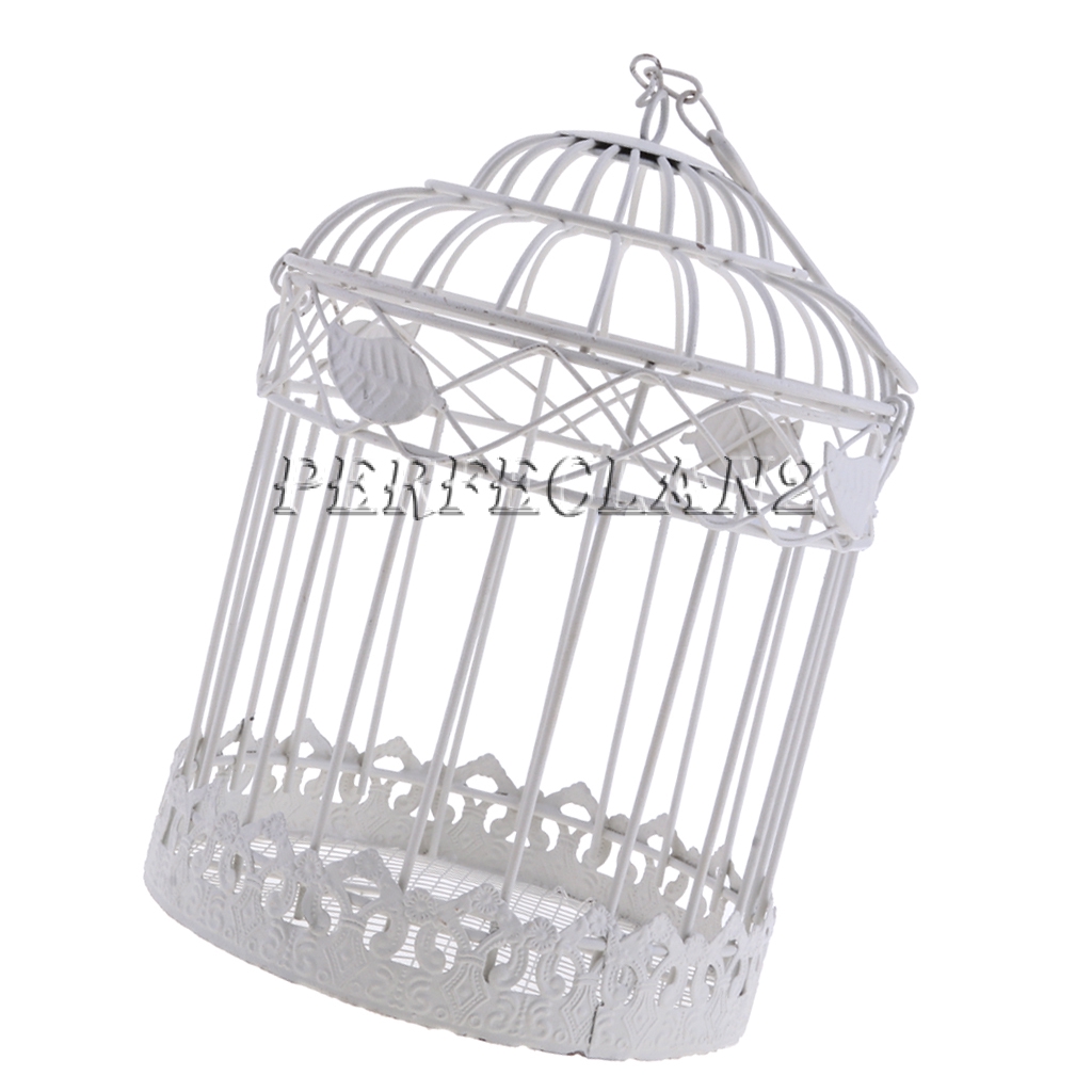 Pastroal Iron Wire Wreath Frame Succulent Pot Hanging Plant