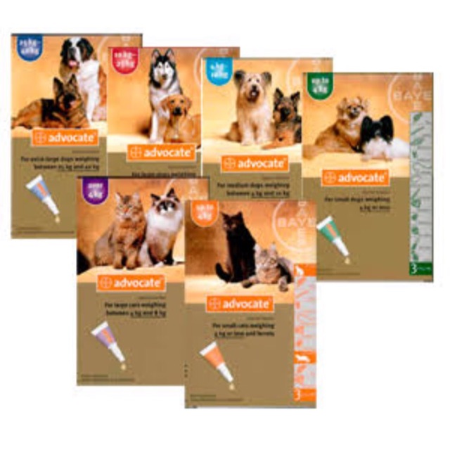 best shampoo for shih tzu