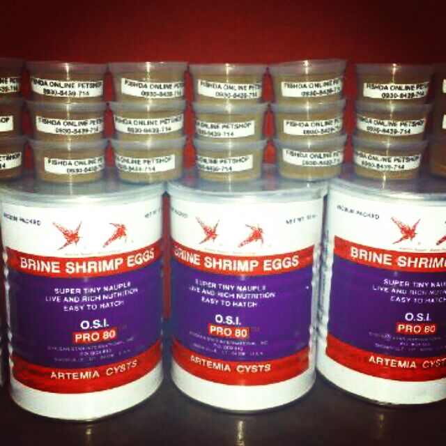 baby brine shrimp eggS Shopee Philippines