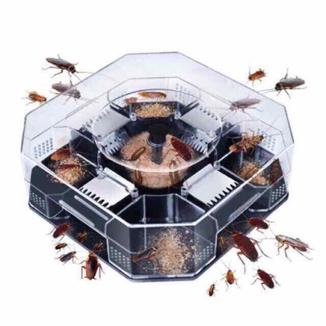 Ant cockroaches trap killer ant catcher temptation | Shopee Philippines