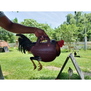 CATCH COCK BAG / CATCH BAG / CATCH COCK TRAINING BAG / ROOSTER TRAINING BAG / For Cock