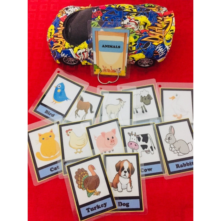 Laminated Flashcards for Kids Animals Flashcards with ring binder