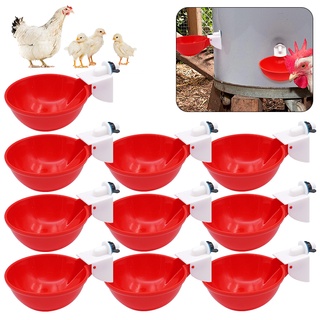 【Ready stock】New 5/10pcs Automatic Large Size Water Cup Chicken Drinking Bowl Plastic Kit Waterer for Poultry Pigeon Bird Poultry Drinker Cup