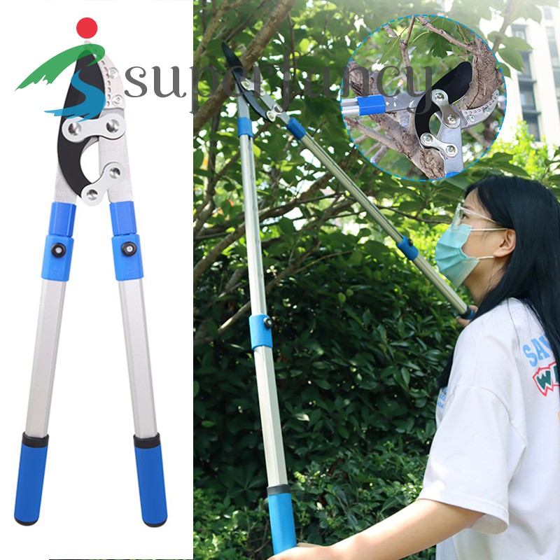 heavy duty tree trimmer