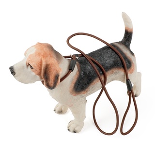 Dog leash dog rope dog leash and collar dog collar and leash leash for dog leash for puppy #4