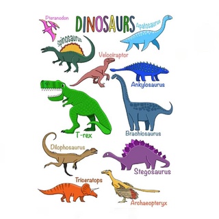 Laminated Dinosaur Charts for Kids and Teachers, Laminated Educational ...