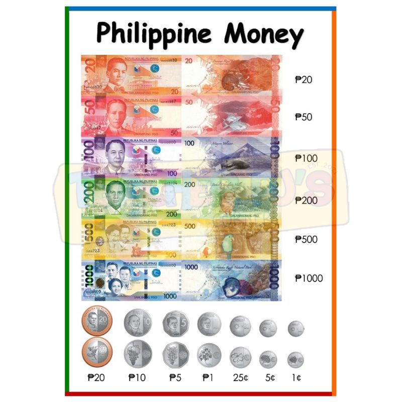 Philippine money a4 size laminated educational wall chart for kids 