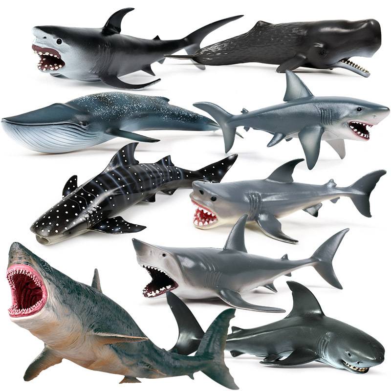 Children S Solid Simulation Marine Life Model Great White Shark Megalodon Whale Shark Tiger Shark Blue Whale Toy Ornaments 100 Shopee Philippines