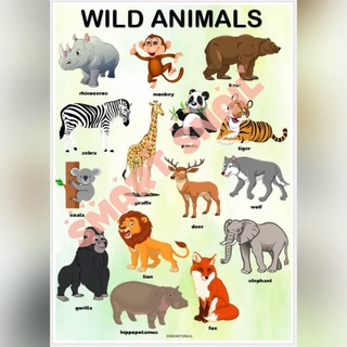 Laminated Educational Wall Charts for Kids