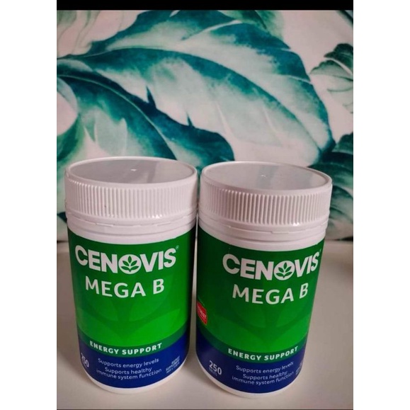 Cenovis Mega B Value Pack 250 Tablets Exclusive | Shopee Philippines