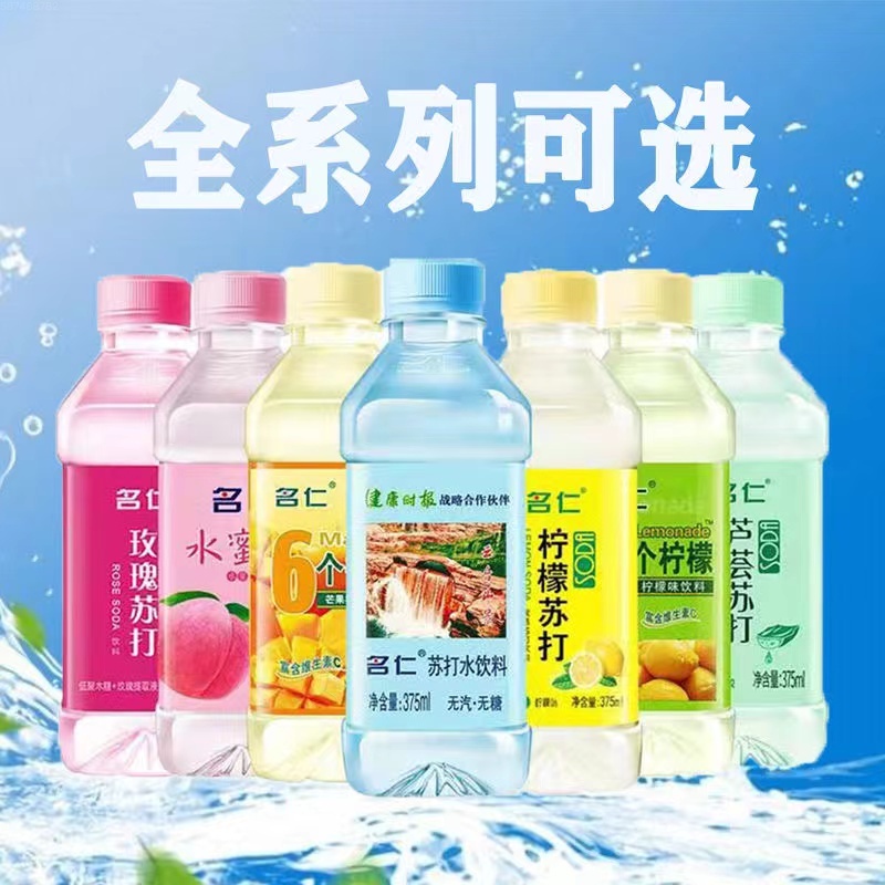 REFRESHING SODA MINT FLAVORED DRINK NONCARBONATED 375ML Shopee