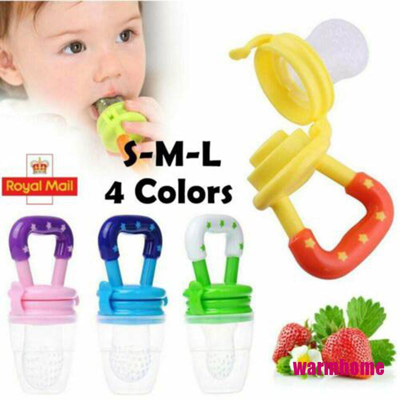teething fruit dummy