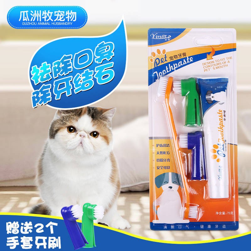 cat toothbrush toothpaste