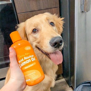 zesty paws pure wild alaskan salmon oil for dogs