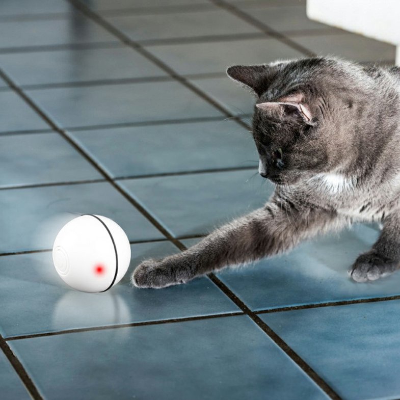 smart cat ball