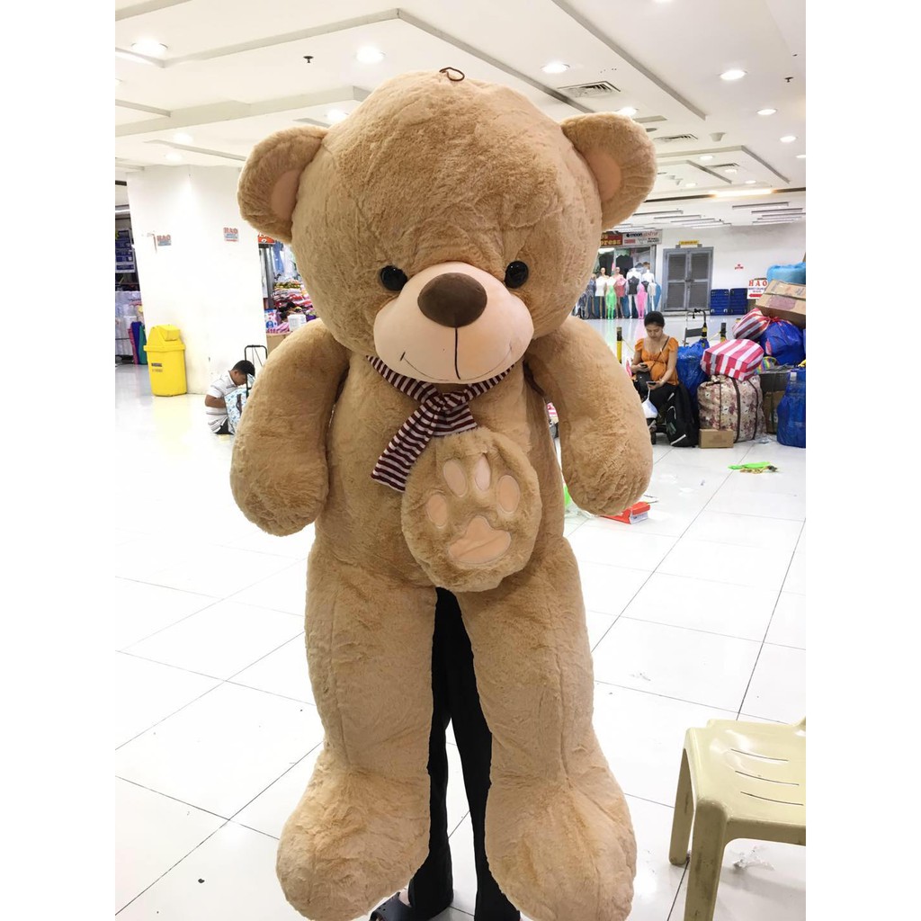Teddy Bear Almost 5ft Human Size 